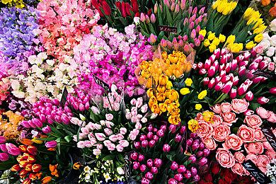 《超级忍》系列×Yuuki Kikuchi老师联动四格漫画将在世嘉官方微博开启连载