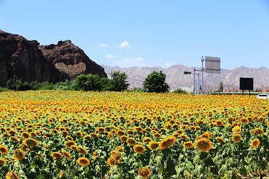 《法外枭雄：滚石城》Steam定价76元 限时免费试玩开启